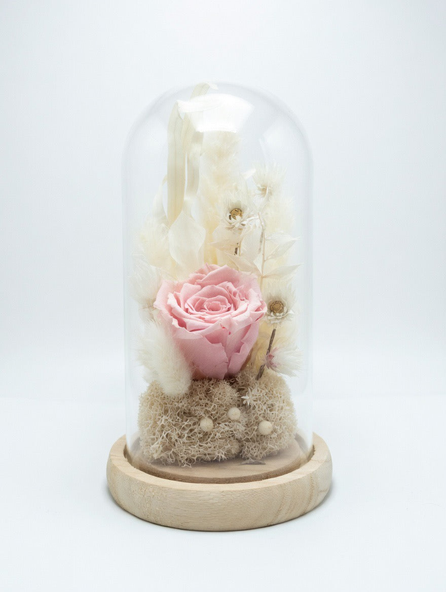 Dôme en verre avec rose rose préservée