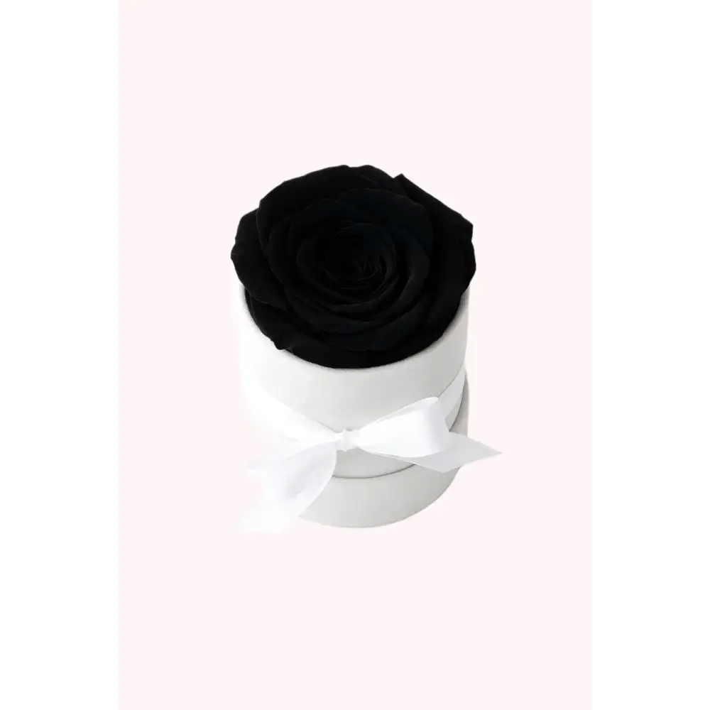 Black Preserved Rose in White Mini Velvet Box - Bloom Fleurs & Cadeaux
