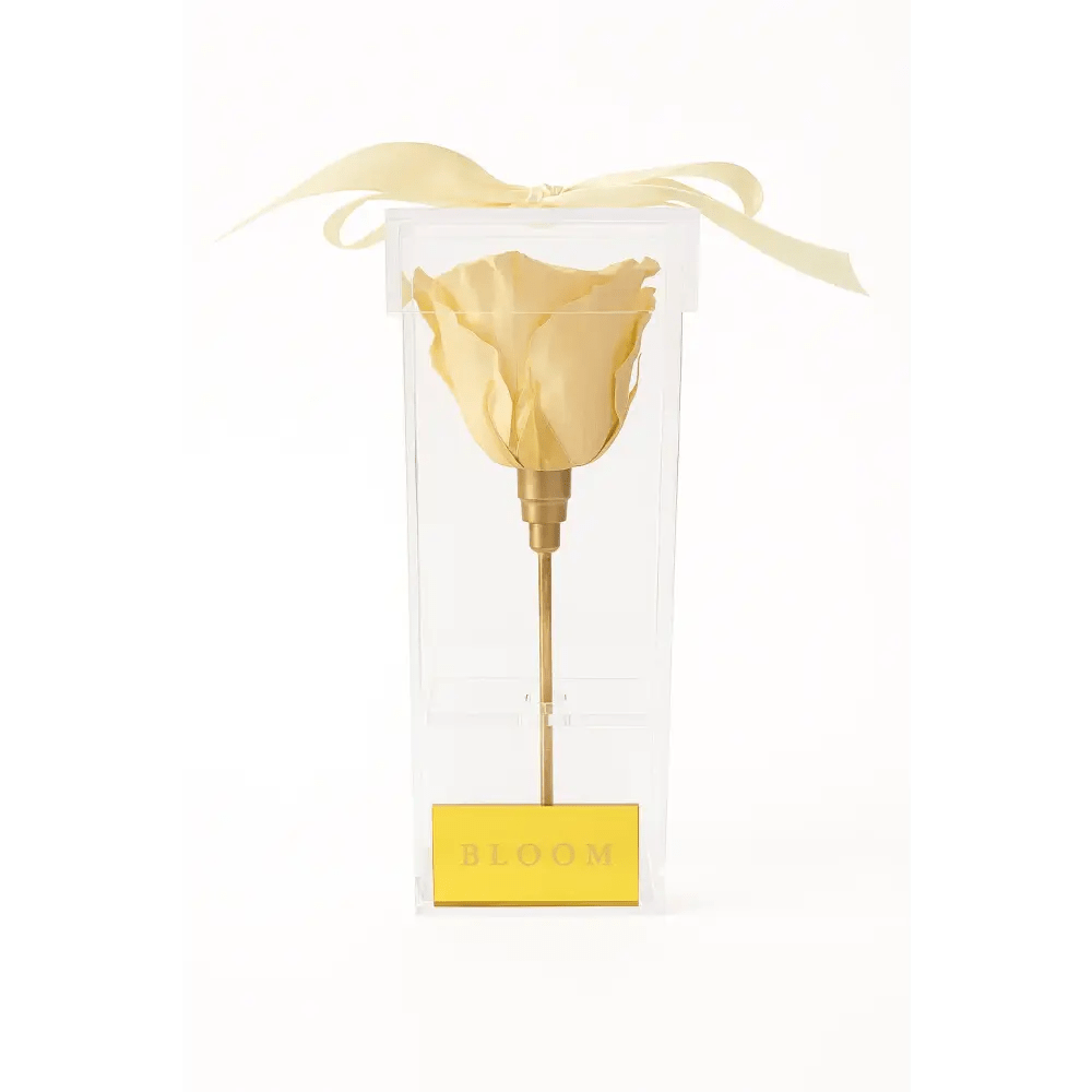 Champagne Preserved Rose Acrylic Box - Bloom Fleurs & Cadeaux