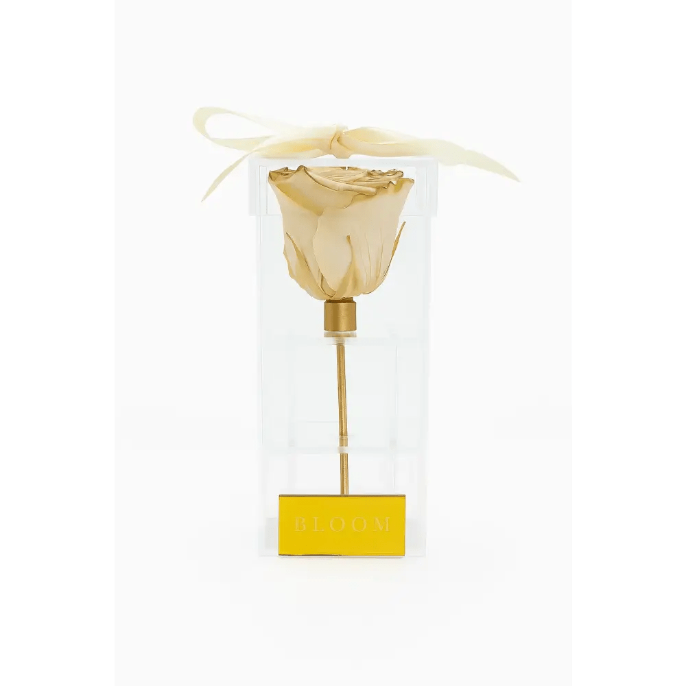 Ivory & Gold Preserved Trim Rose Acrylic Box - Bloom Fleurs & Cadeaux