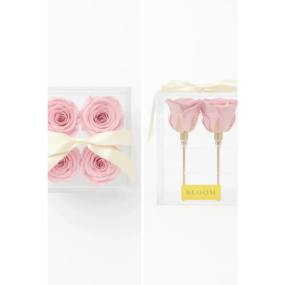Pink Preserved Roses Acrylic Box - 4 Roses - Bloom Fleurs & Cadeaux