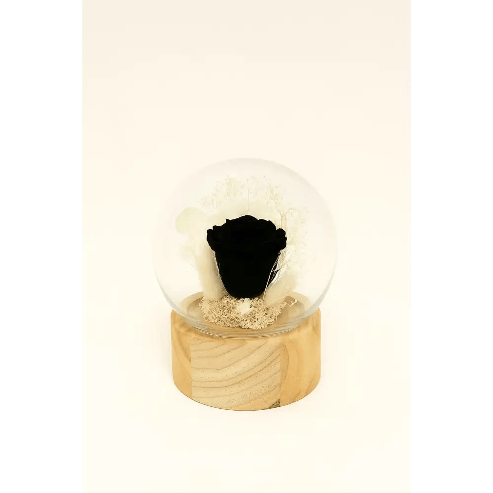 Preserved Black Rose Glass Dome - Bloom Fleurs & Cadeaux