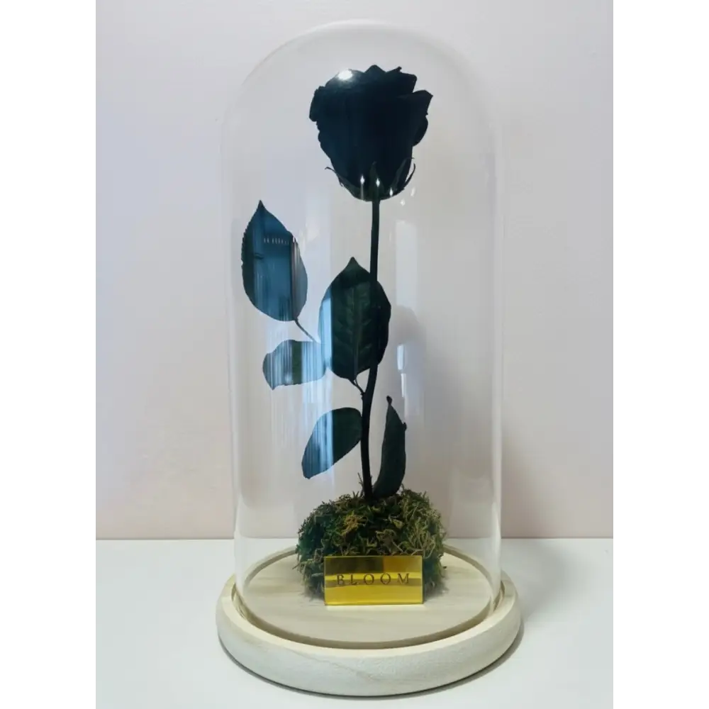 Preserved Black Rose Tall Glass Dome