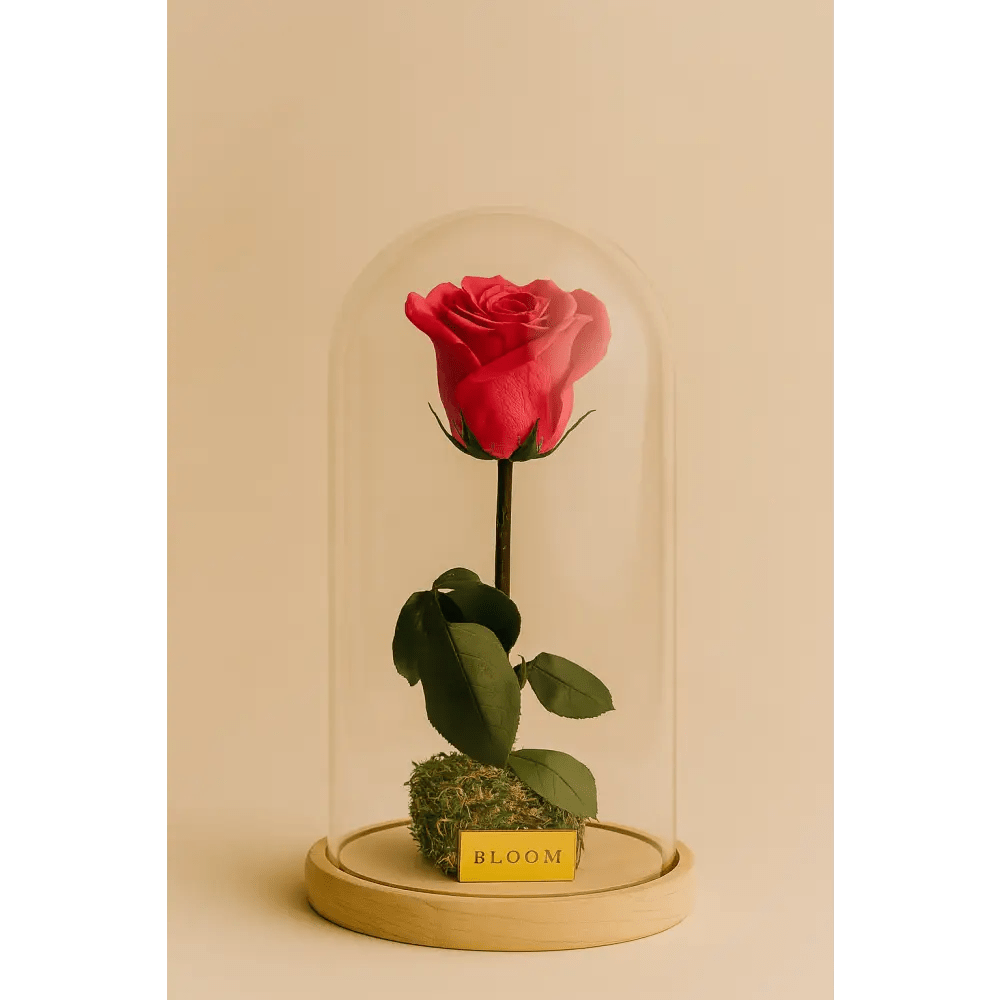 Preserved Coral Rose Tall Glass Dome - Bloom Fleurs & Cadeaux