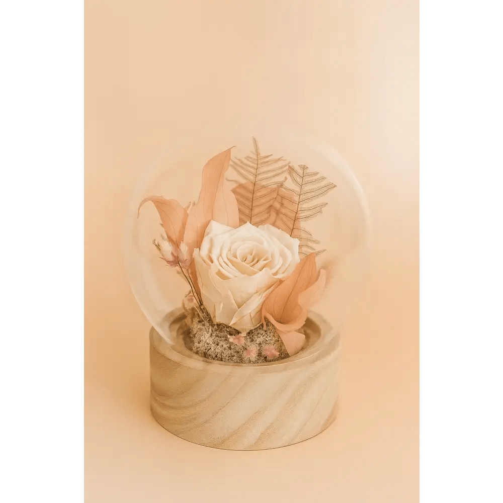 Preserved Ivory Rose Glass Globe - Bloom Fleurs & Cadeaux