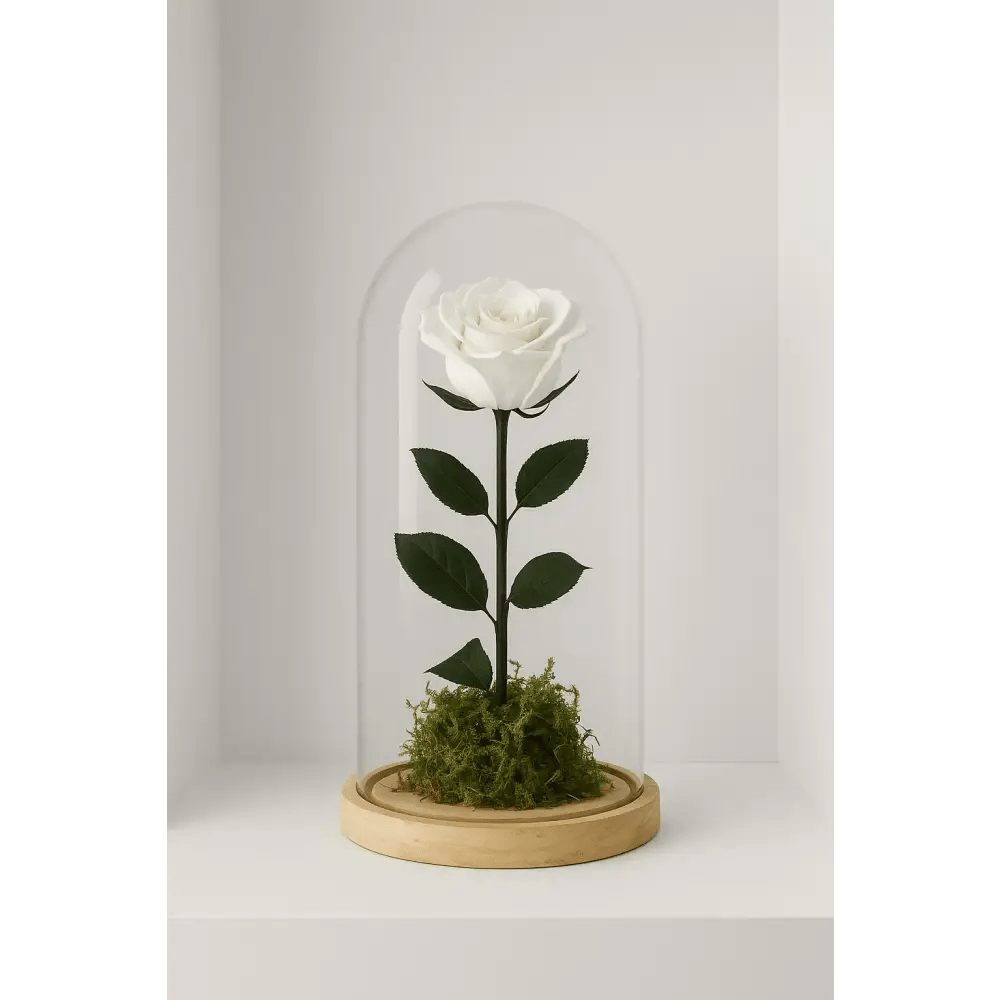 Preserved Ivory Rose Tall Glass Dome - Bloom Fleurs & Cadeaux