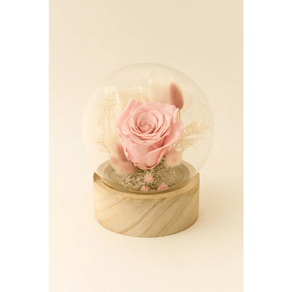 Preserved Pink Rose Glass Globe - Bloom Fleurs & Cadeaux