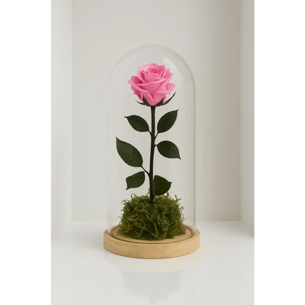 Preserved Pink Rose Tall Glass Dome - Bloom Fleurs & Cadeaux