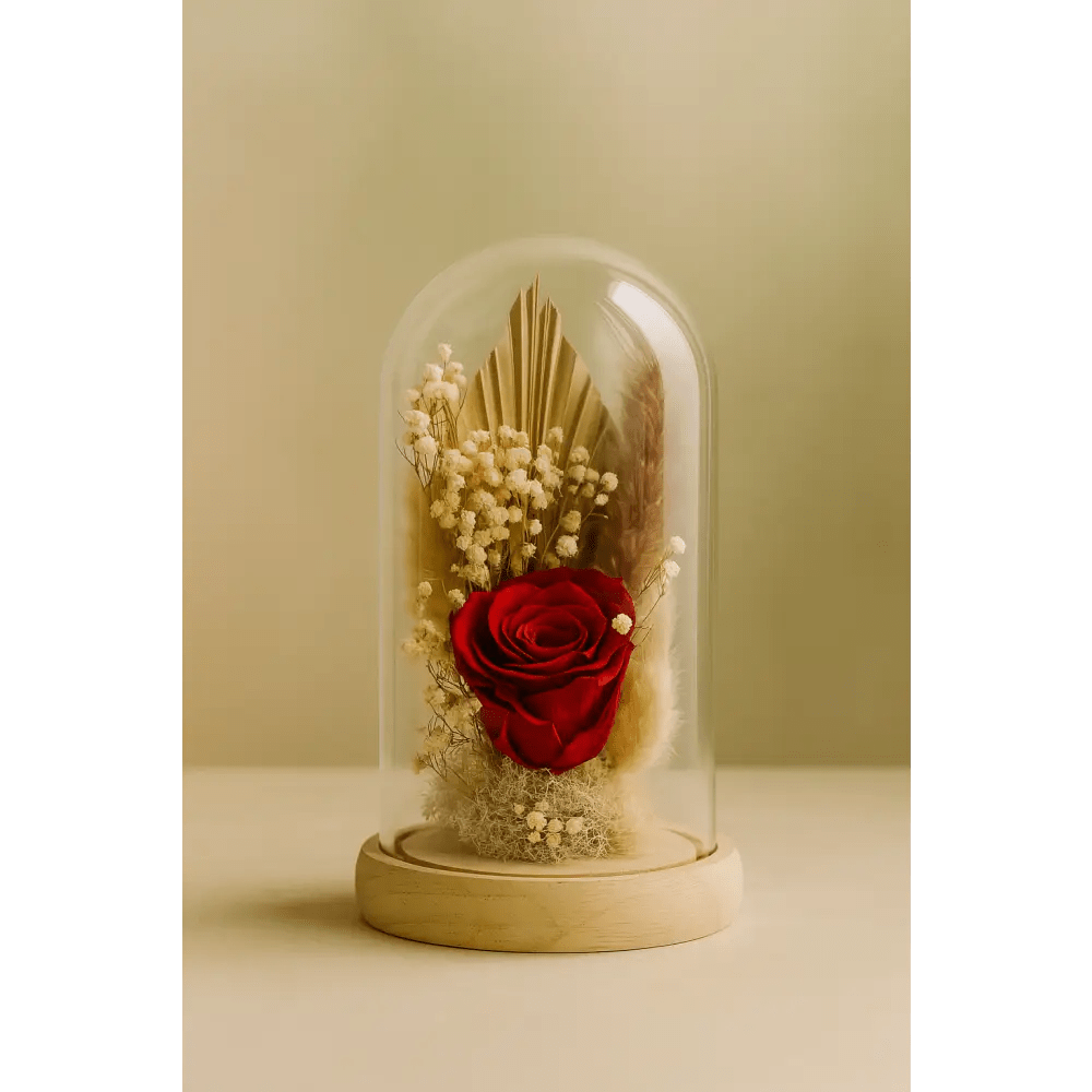 Preserved Red Rose Glass Dome - Bloom Fleurs & Cadeaux
