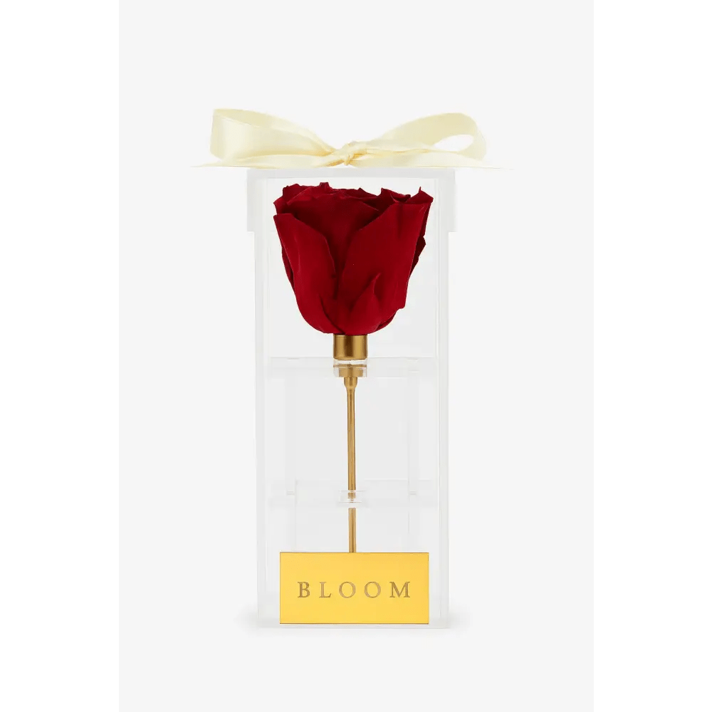 Red Preserved Rose Acrylic Box - Bloom Fleurs & Cadeaux