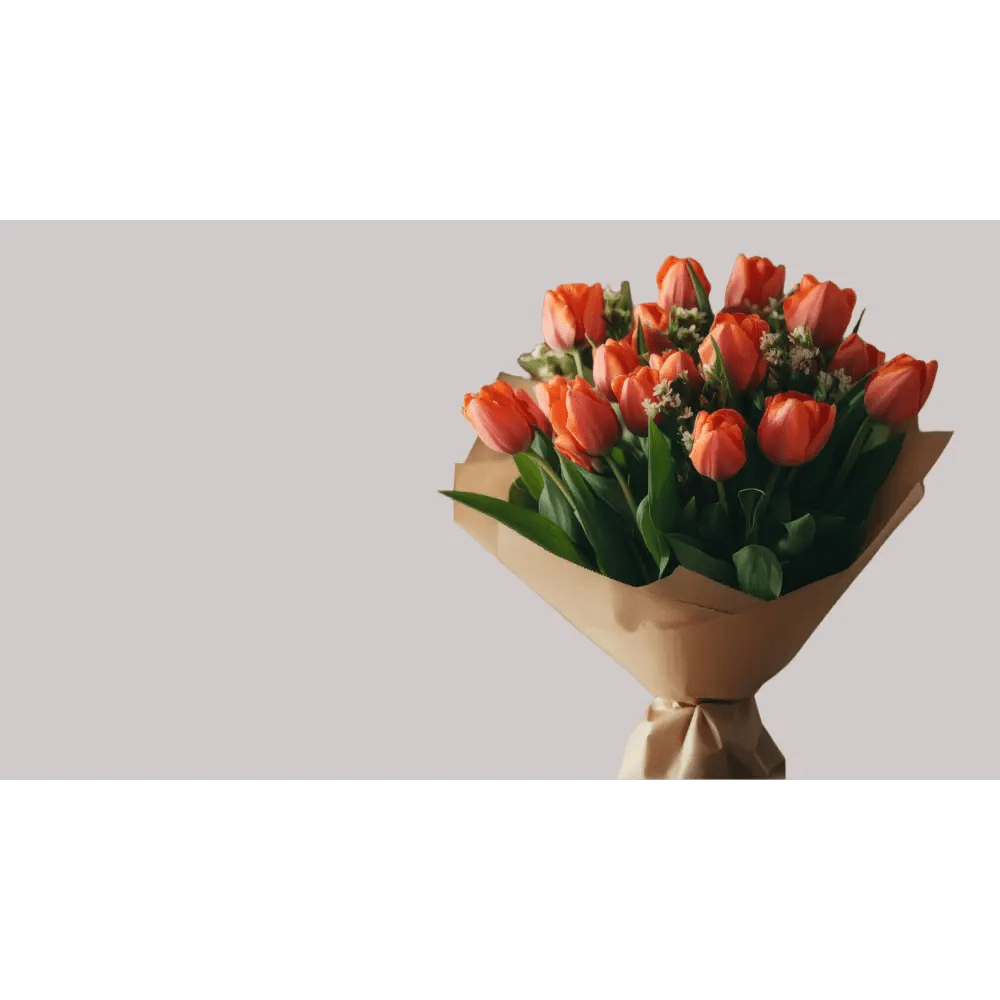 Tulips - Bloom Fleurs & Cadeaux