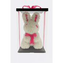 17" Rose Bunny in Gift Box – White with Pink Accents - Bloom Fleurs & Cadeaux