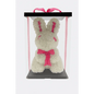 17" Rose Bunny in Gift Box – White with Pink Accents - Bloom Fleurs & Cadeaux