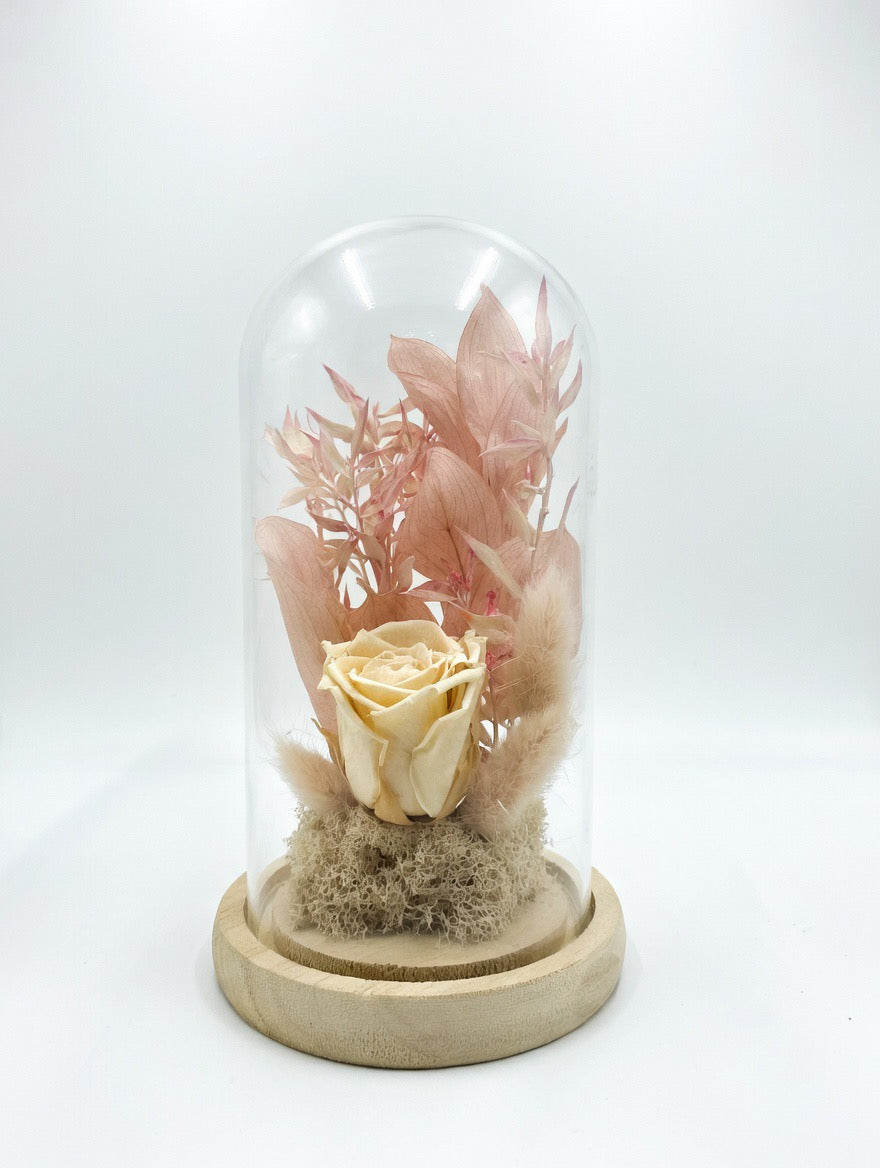 Preserved Peach Rose Glass Dome