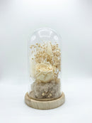 Preserved Ivory Rose & Baby’s Breath Glass Dome