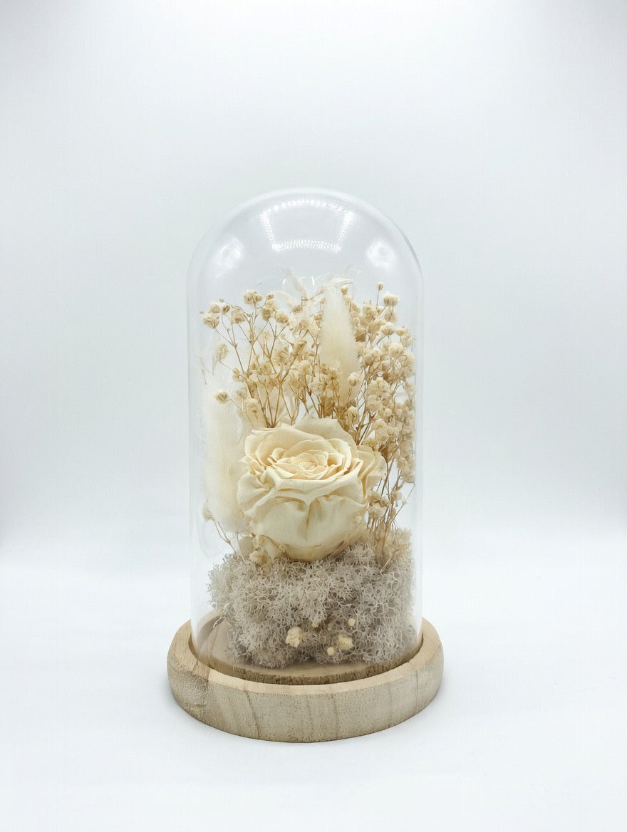 Preserved Ivory Rose & Baby’s Breath Glass Dome