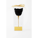 Black Preserved Rose Acrylic Box - Bloom Fleurs & Cadeaux