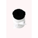 Black Preserved Rose in White Mini Velvet Box - Bloom Fleurs & Cadeaux