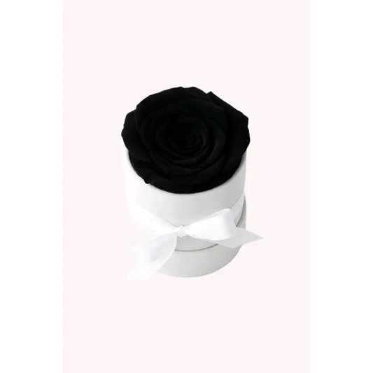 Black Preserved Rose in White Mini Velvet Box - Bloom Fleurs & Cadeaux