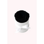 Black Preserved Rose in White Mini Velvet Box - Bloom Fleurs & Cadeaux