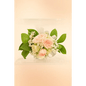 Blush Rose Corsage - Bloom Fleurs & Cadeaux