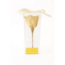 Champagne Preserved Rose Acrylic Box - Bloom Fleurs & Cadeaux