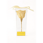 Champagne Preserved Rose Acrylic Box - Bloom Fleurs & Cadeaux