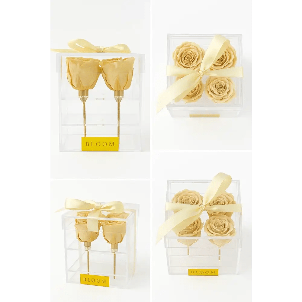 Champagne Preserved Roses Acrylic Box - 4 Roses - Bloom Fleurs & Cadeaux