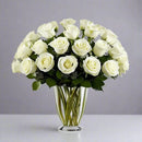 Classic White Roses - Bloom Fleurs & Cadeaux