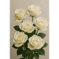 Classic White Roses - Bloom Fleurs & Cadeaux