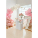 Custom Balloon Arch Rental – Starting At $300 – Call For Quote