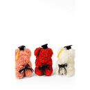 Graduation Rose Bears (10 - inch, boxed, assorted colors): - Bloom Fleurs & Cadeaux