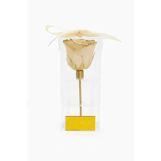 Ivory & Gold Preserved Trim Rose Acrylic Box - Bloom Fleurs & Cadeaux