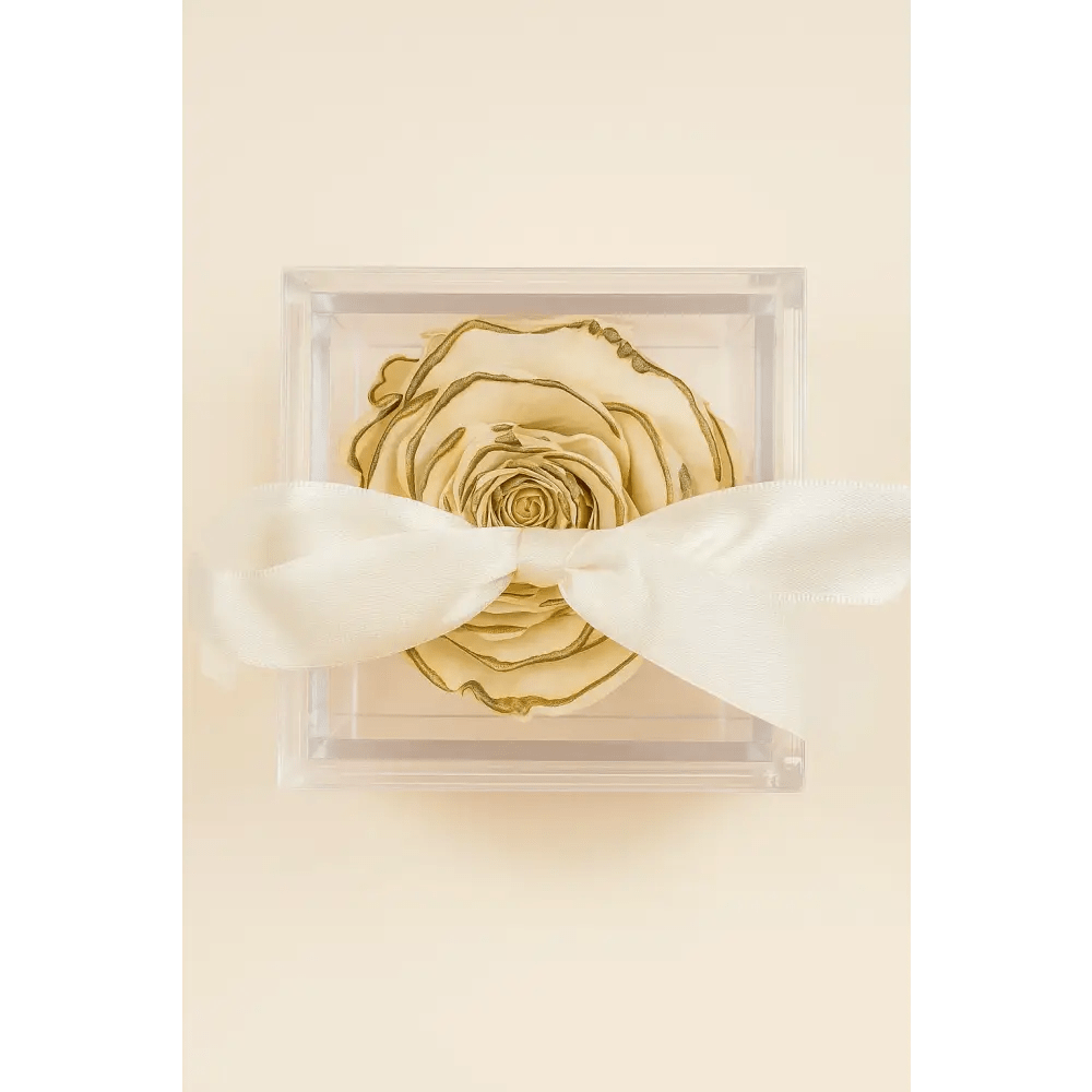 Ivory & Gold Preserved Trim Rose Acrylic Box - Bloom Fleurs & Cadeaux