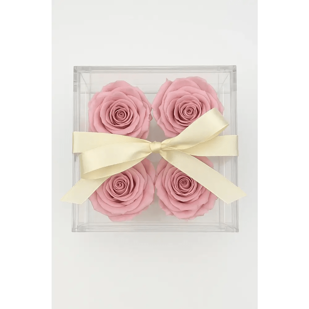 Pink Preserved Roses Acrylic Box - 4 Roses - Bloom Fleurs & Cadeaux