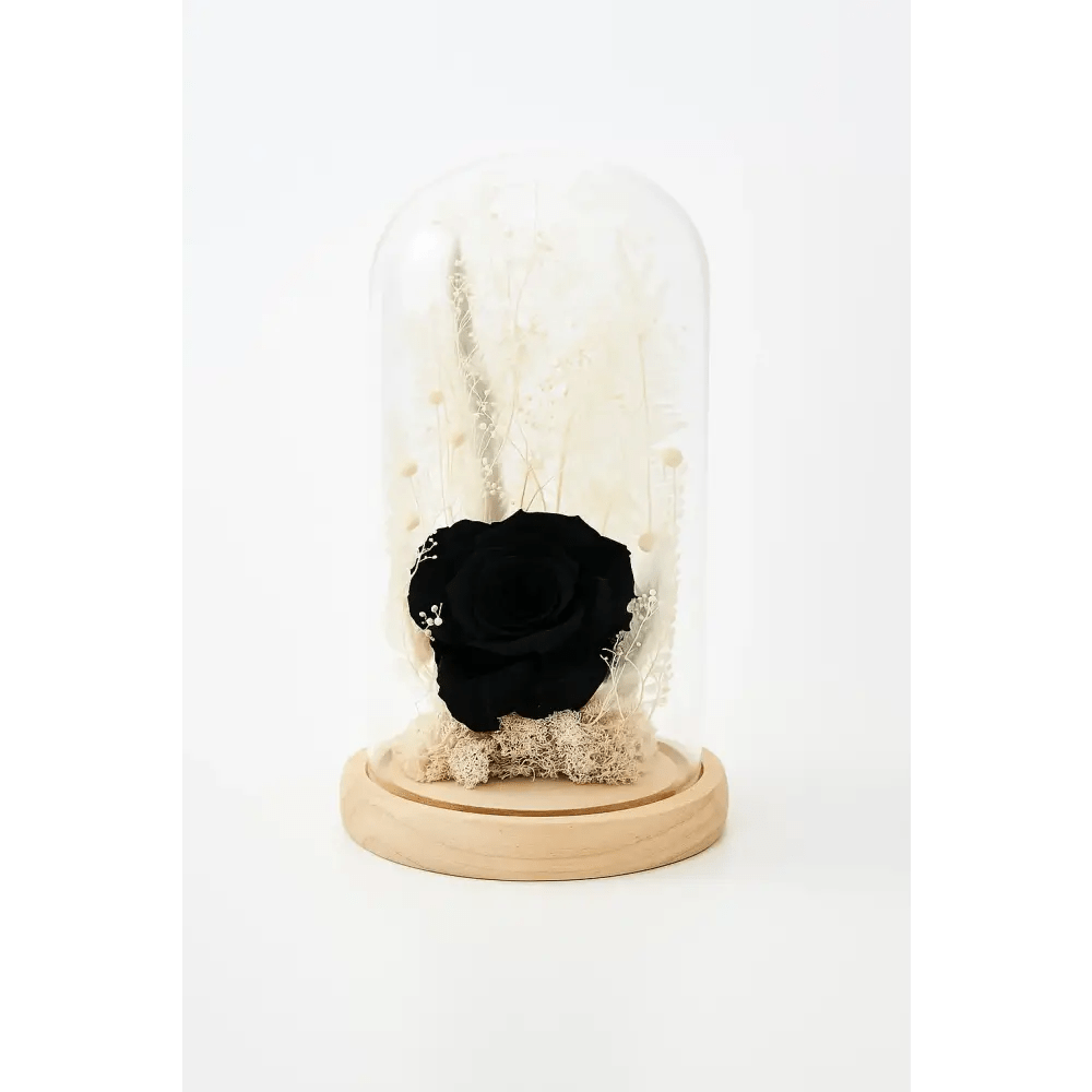 Preserved Black Rose Glass Dome - Bloom Fleurs & Cadeaux
