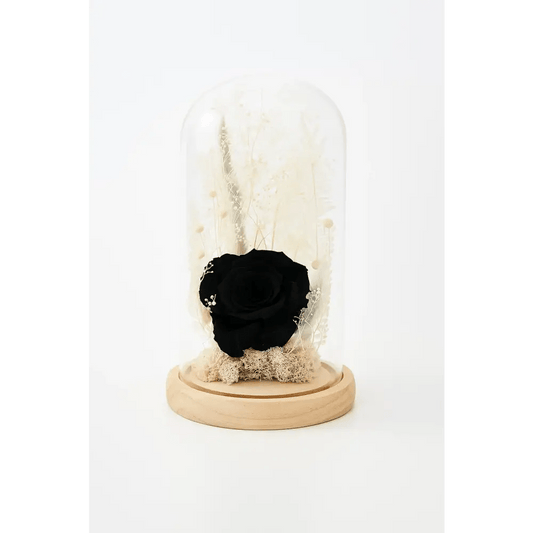 Preserved Black Rose Glass Dome - Bloom Fleurs & Cadeaux