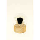 Preserved Black Rose Glass Dome - Bloom Fleurs & Cadeaux