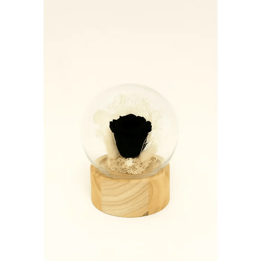 Preserved Black Rose Glass Dome - Bloom Fleurs & Cadeaux