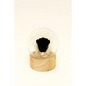 Preserved Black Rose Glass Dome - Bloom Fleurs & Cadeaux