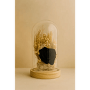 Preserved Black Rose Glass Dome - Bloom Fleurs & Cadeaux