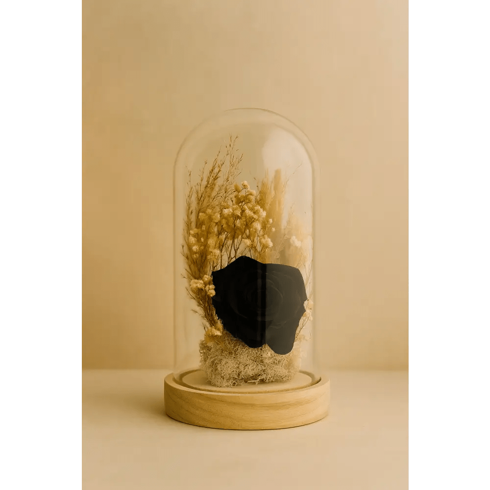 Preserved Black Rose Glass Dome - Bloom Fleurs & Cadeaux