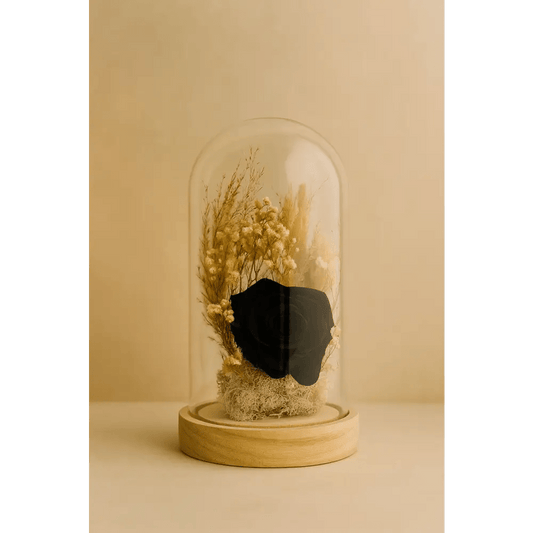 Preserved Black Rose Glass Dome - Bloom Fleurs & Cadeaux