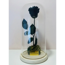 Preserved Black Rose Tall Glass Dome