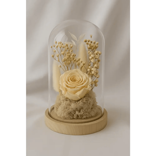 Preserved Champagne Rose Glass Dome - Bloom Fleurs & Cadeaux