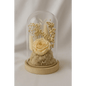 Preserved Champagne Rose Glass Dome - Bloom Fleurs & Cadeaux