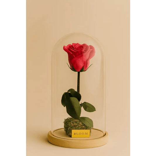 Preserved Coral Rose Tall Glass Dome - Bloom Fleurs & Cadeaux