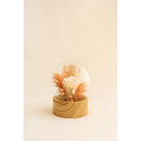 Preserved Cream Rose - Bloom Fleurs & Cadeaux