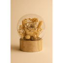 Preserved Ivory & Gold Rose Glass Globe - Bloom Fleurs & Cadeaux