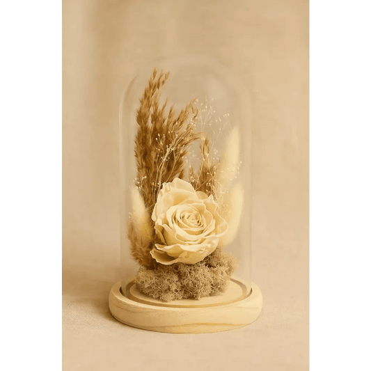 Preserved Ivory Rose Glass Dome - Bloom Fleurs & Cadeaux